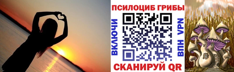 Галлюциногенные грибы прущие грибы  Бежецк 